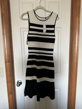 Sleeveless Black & White Striped Knit Dress